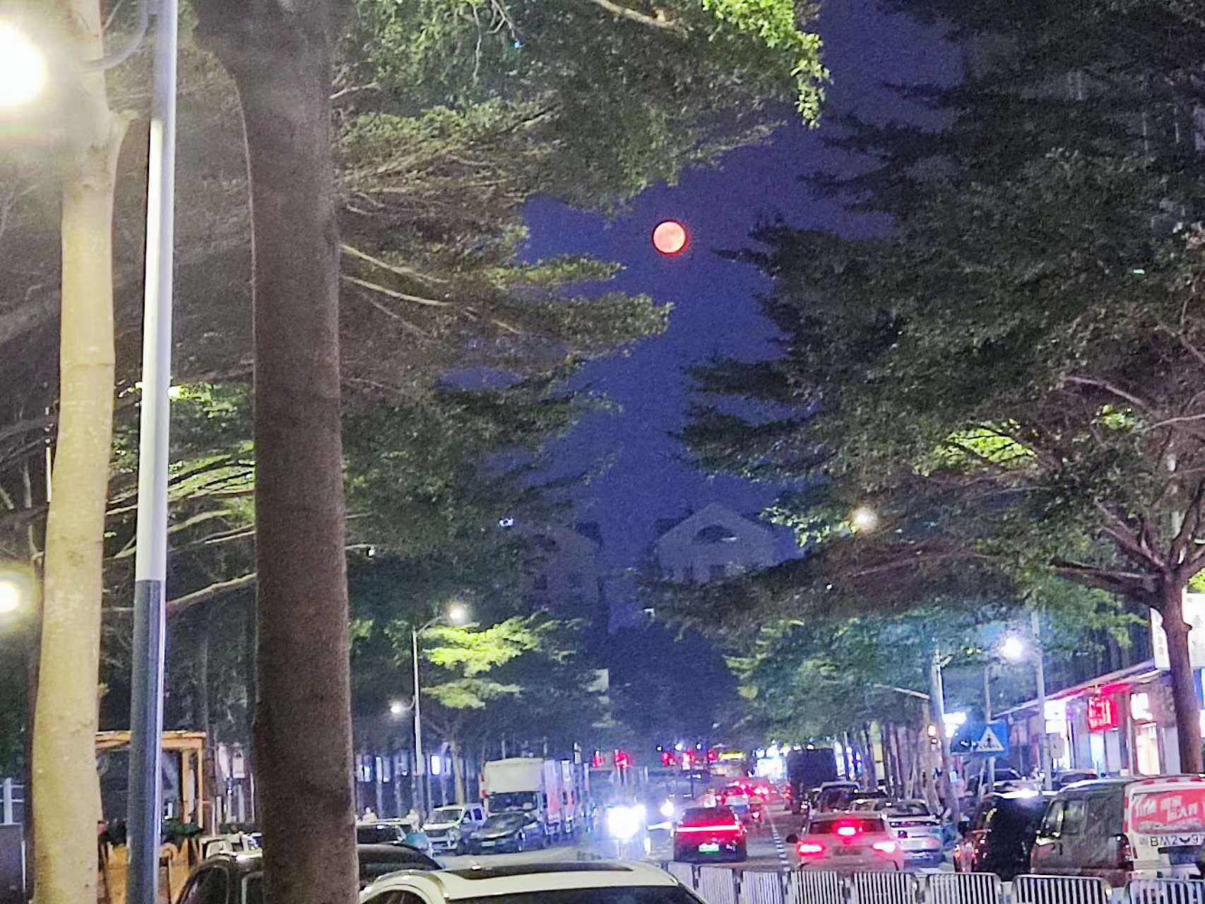 image-20230823025804993